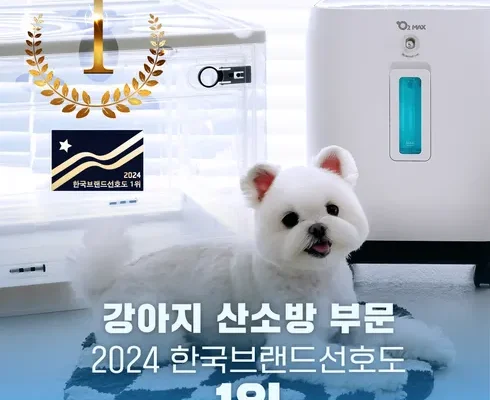 경제적인 강아지산소방 적극추천